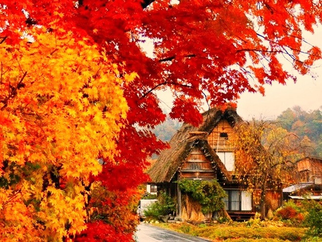 Cảnh đẹp Nhật Bản mùa thu