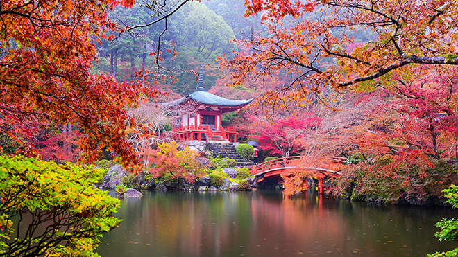Cảnh đẹp Nhật Bản mùa thu