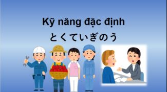 So sánh Kỹ năng đặc định và Thực tập sinh