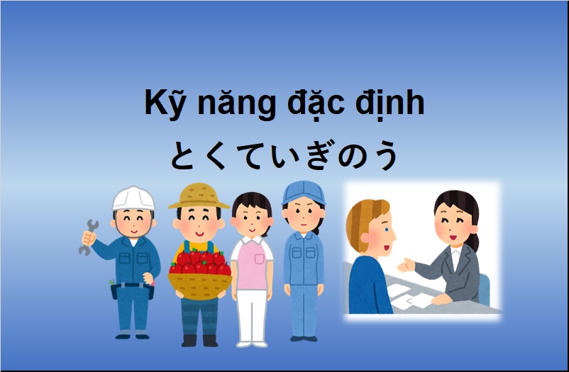 So sánh Kỹ năng đặc định và Thực tập sinh