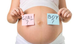 Liệu mang thai bao nhiêu tuần thì biết trai hay gái?