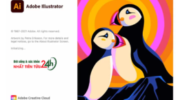 Tải Cài Đặt Phần Mềm Adobe Illustrator CC 2022 FULL CRACK 8