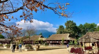 Khám phá văn hóa bản địa