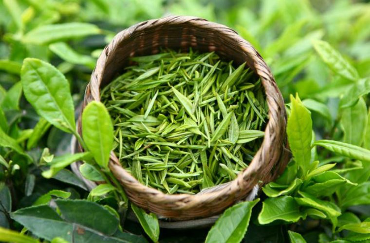 thực phẩm giúp đốt cháy mỡ 02