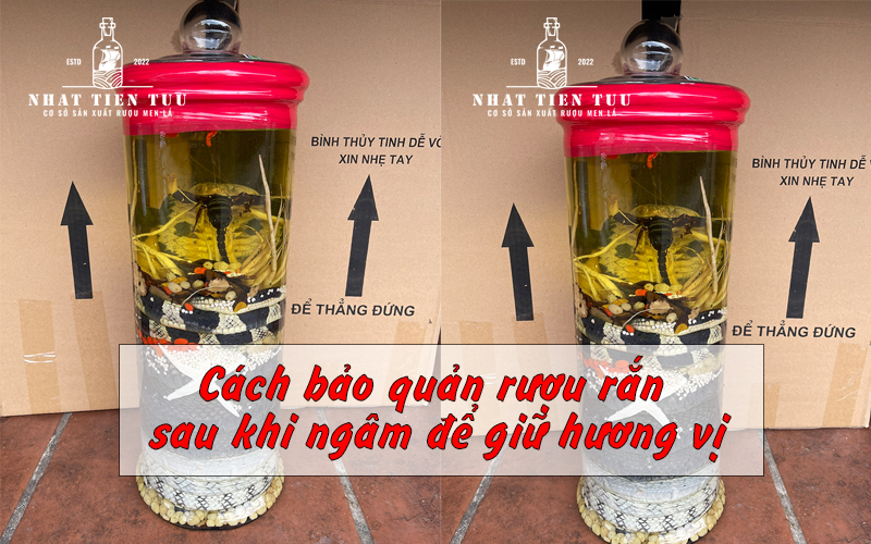 Cách bảo quản rượu rắn sau khi ngâm để giữ hương vị