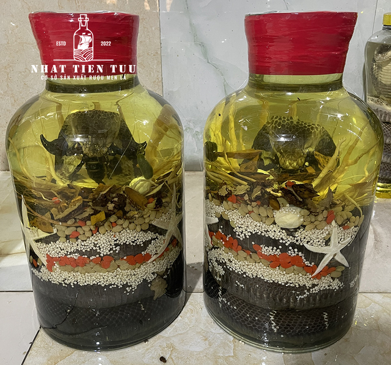 Có nên mua rượu rắn làm quà biếu không 03