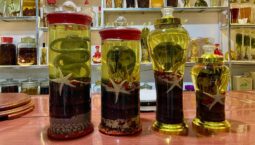 thuoc-ho-hap-cong-dung-cach-dung-va-luu-y