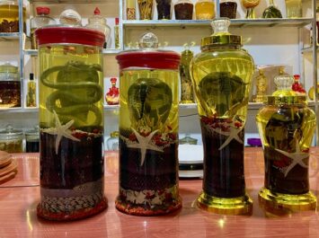 bai-3-huong-dan-dang-ky-su-dung-cong-cu-ai-can-thiet