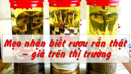 phan-mem-cat-ghep-video-tren-may-tinh-mien-phi-tra-phi