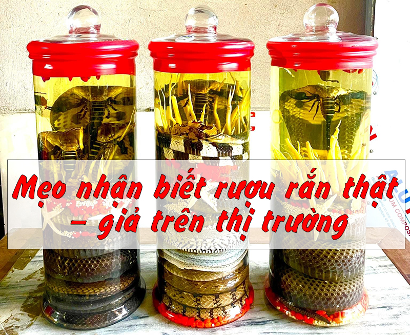 Mẹo nhận biết rượu rắn thật