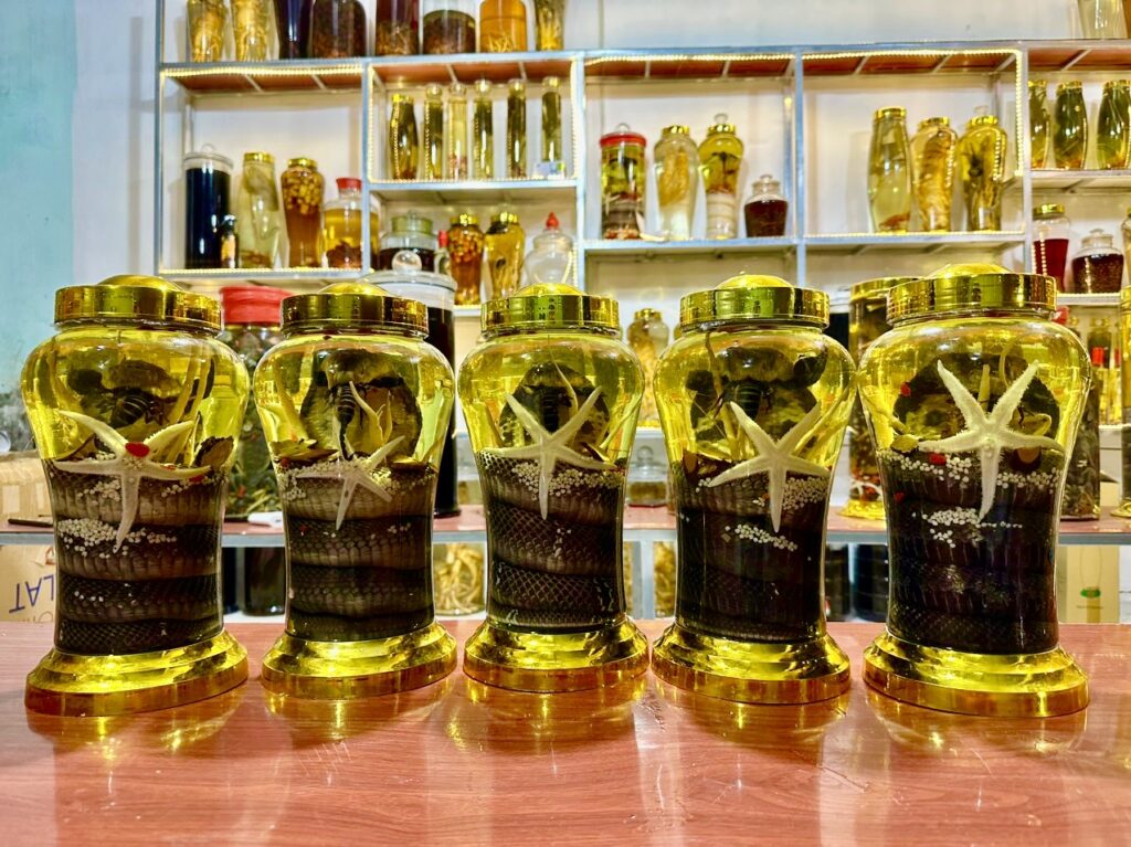 Rượu rắn có độc không 02