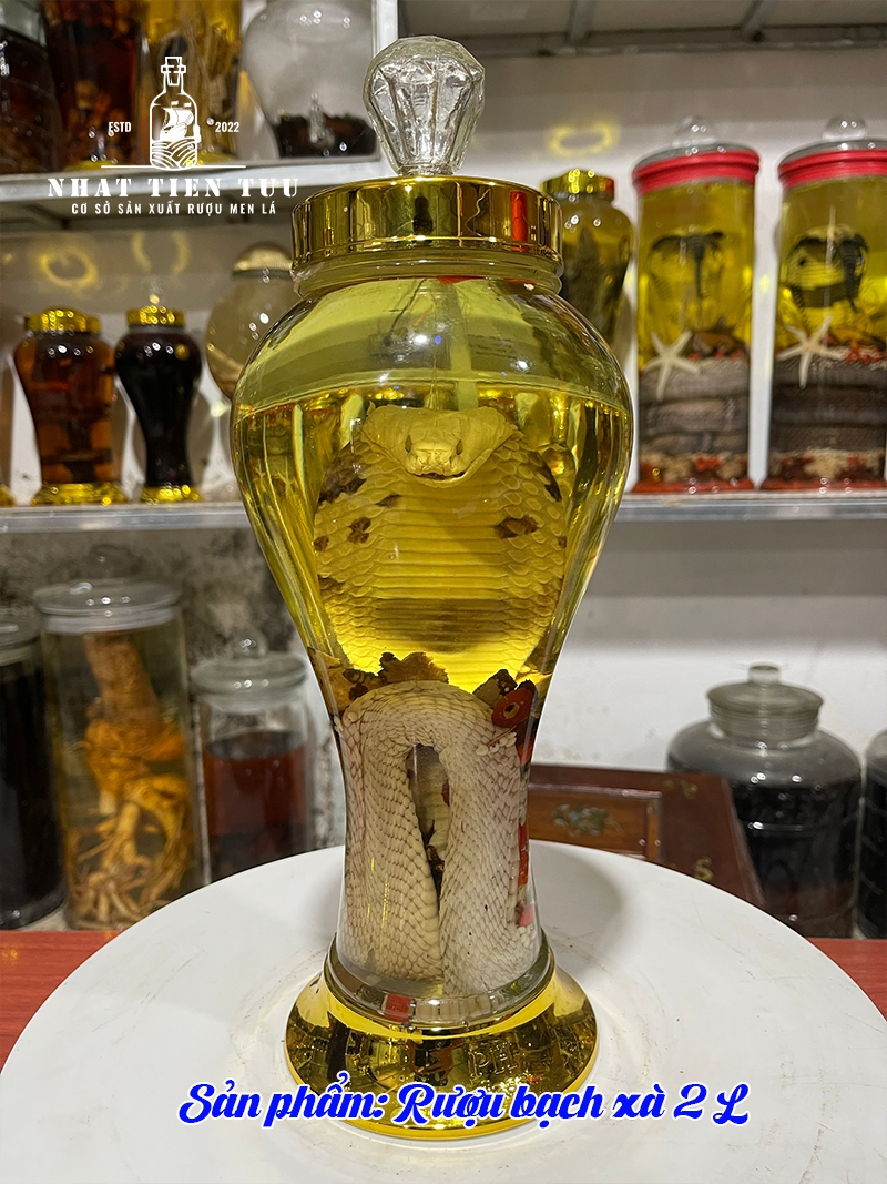 Rượu rắn có độc không