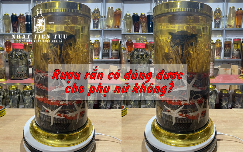 Rượu rắn có dùng được cho phụ nữ không