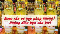phan-mem-cat-ghep-video-tren-may-tinh-mien-phi-tra-phi