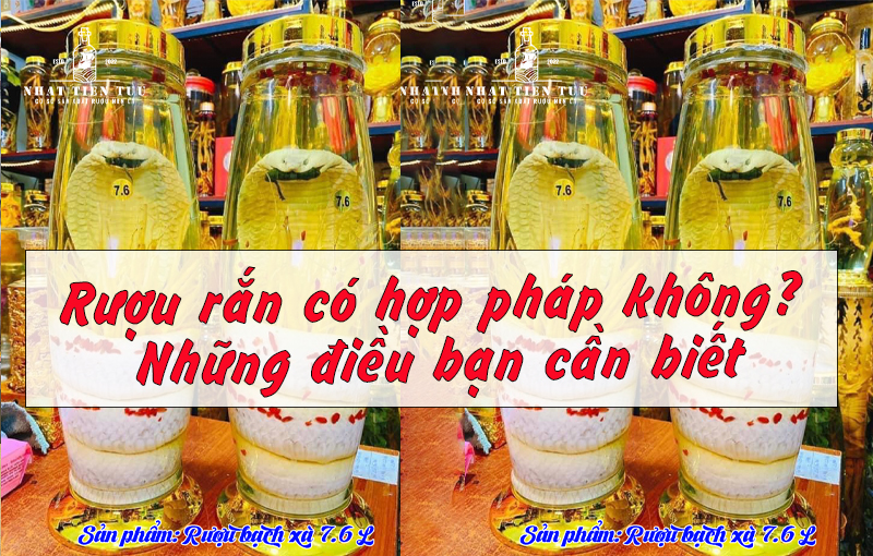 Rượu rắn có hợp pháp không