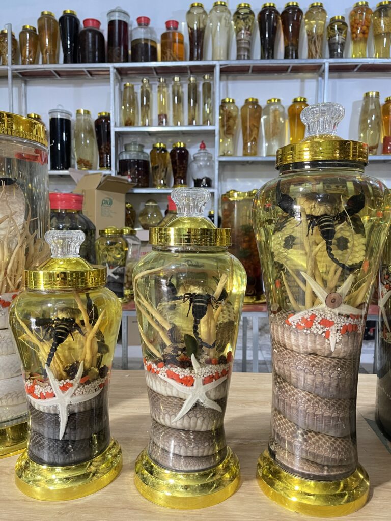 Rượu rắn có thực sự cải thiện sinh lý không 02