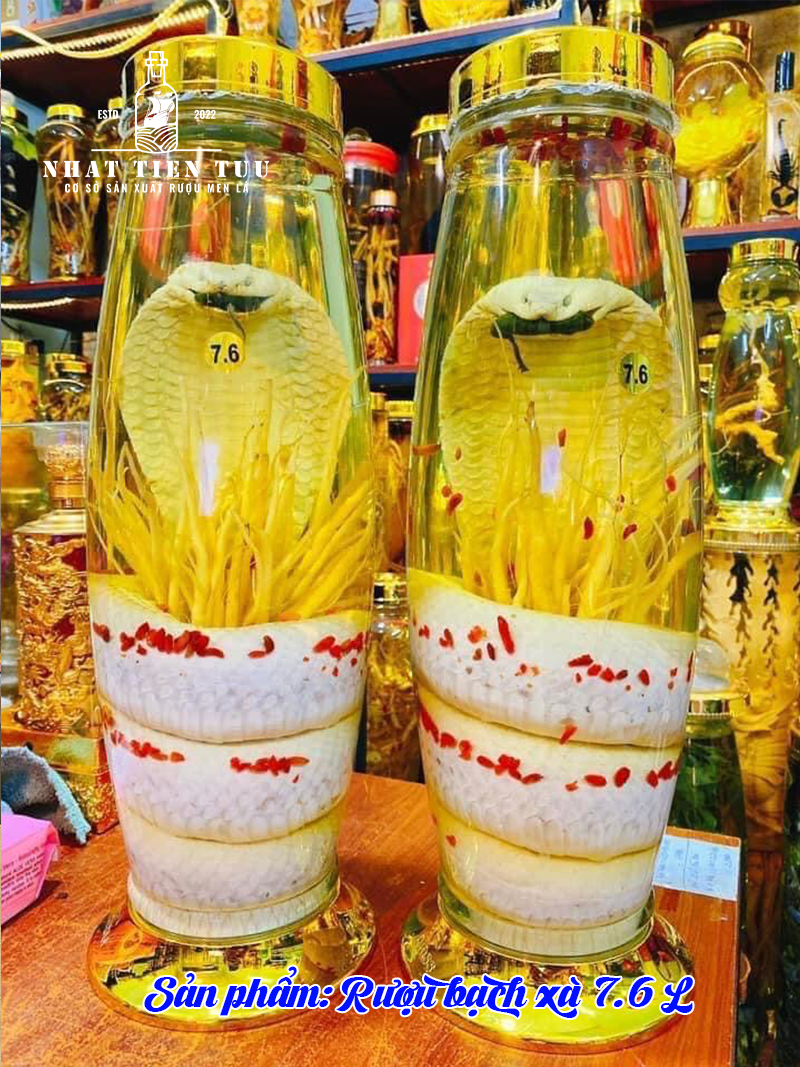 Rượu rắn có thực sự cải thiện sinh lý không