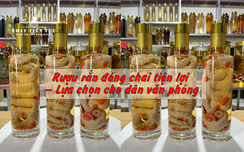 Rượu rắn đóng chai tiện lợi