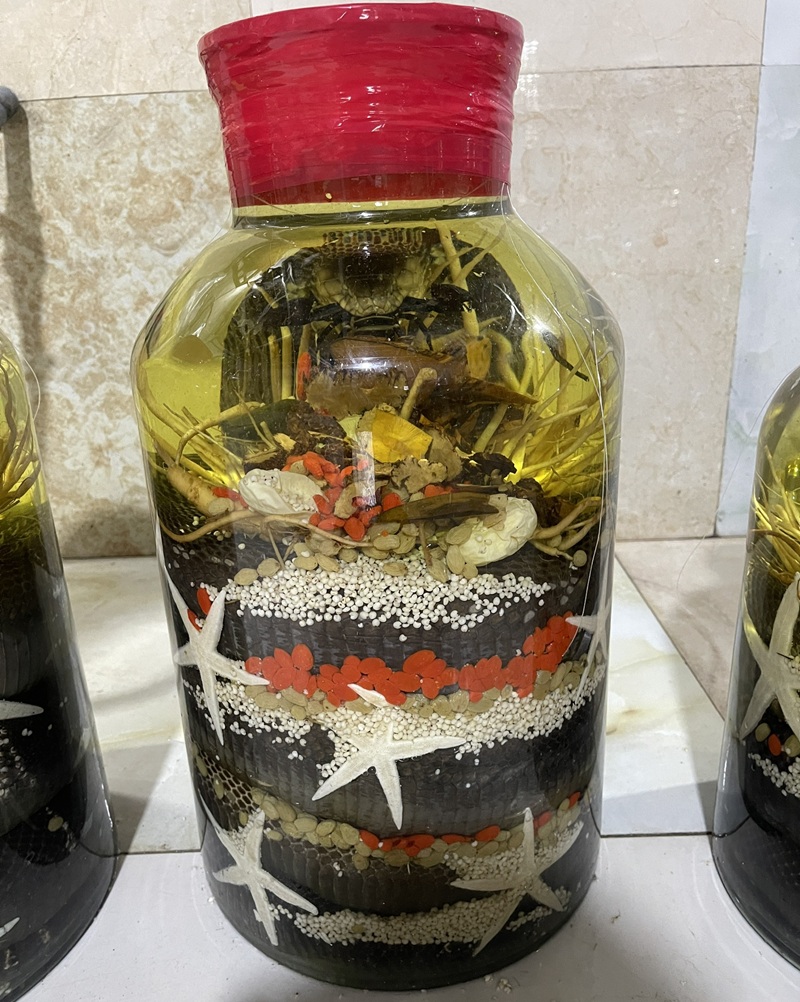 Rượu rắn và ba kích 03