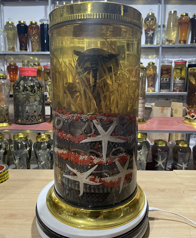 Rượu rắn và ba kích 05