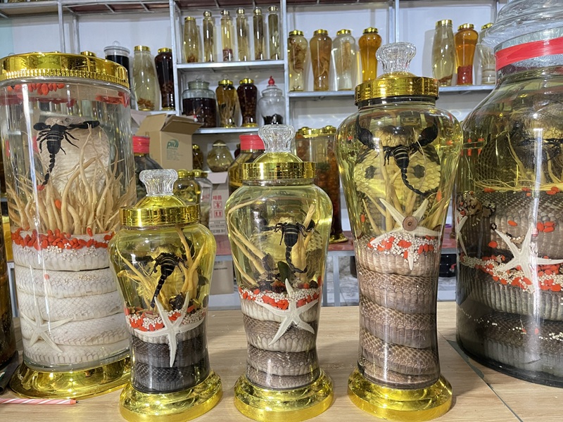 Rượu rắn và ba kích 08