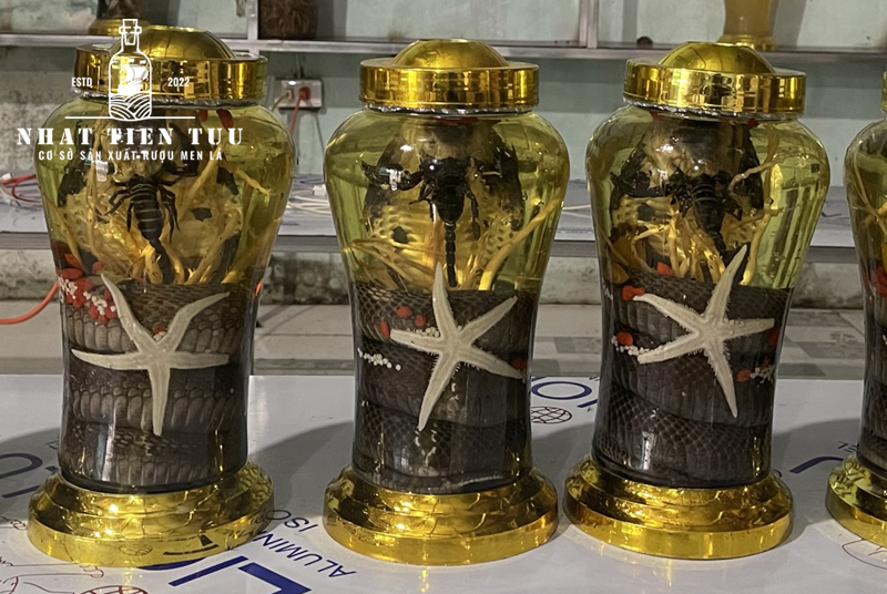 bài thuốc dân gian từ rượu rắn 03
