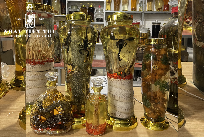 bài thuốc dân gian từ rượu rắn 05