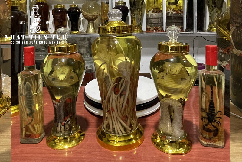 bài thuốc dân gian từ rượu rắn 06