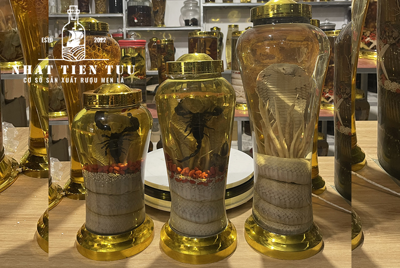 bài thuốc dân gian từ rượu rắn