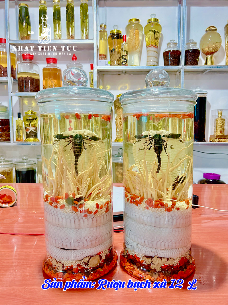 công dụng của rượu rắn 06