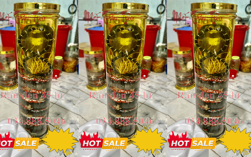 mẫu bình rượu rắn đẹp 02