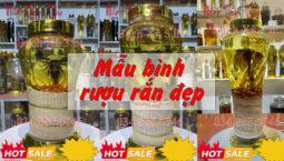 phan-mem-cat-ghep-video-tren-may-tinh-mien-phi-tra-phi