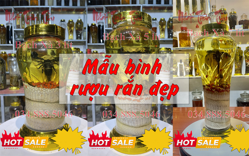mẫu bình rượu rắn đẹp