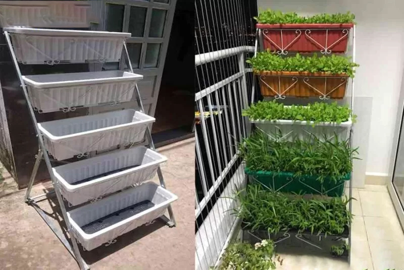 Kỹ thuật trồng rau bằng giá thể 04