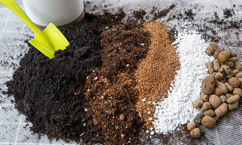 Kỹ thuật trồng rau bằng giá thể 08