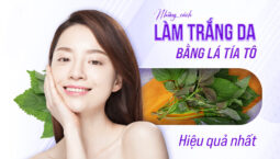 Bài thuốc từ lá tía tô giúp trắng da