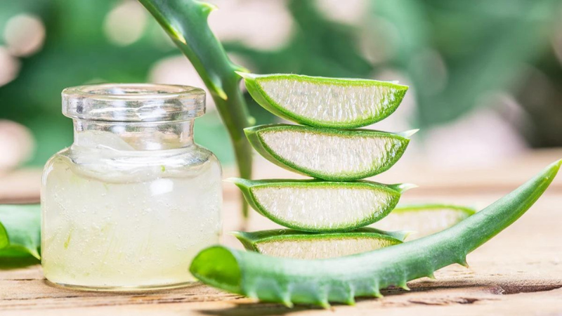 Cách Dùng Nha Đam Dưỡng Da 05
