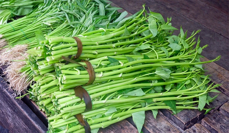 Cách trồng rau muống 05