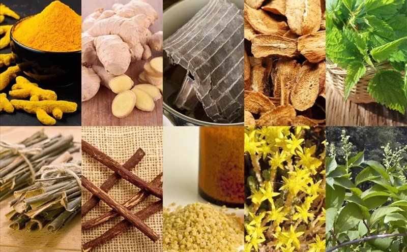 Thảo dược giúp giảm rụng tóc